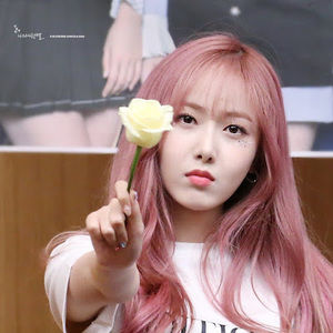 Meet your Posher, Sinb